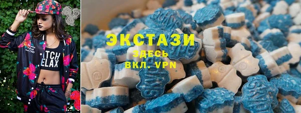 гашик Алексеевка