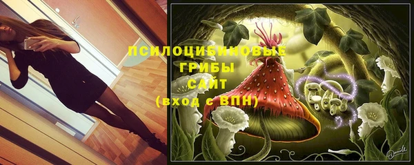MESCALINE Алзамай